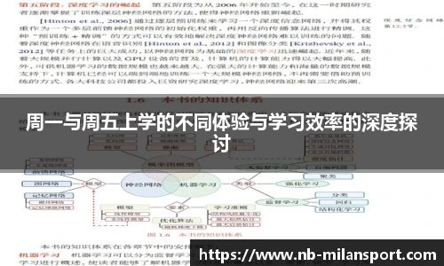 周一与周五上学的不同体验与学习效率的深度探讨